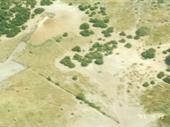 prime land 25 hectare