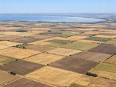 premium 25 hectares of
